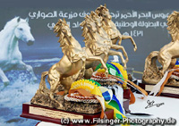 Saudi National Championships 2010